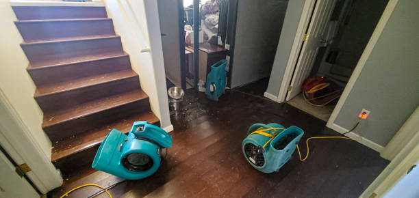 Best Mold removal after water damage  in La Grange, KY