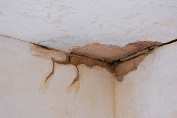 Best Emergency water damage restoration  in La Grange, KY